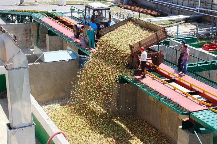 Технология производства и переработки сельскохозяйственной продукции